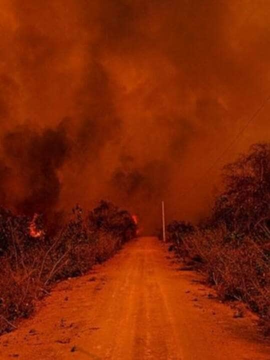 Bombeiros de Mato Grosso controlam incêndios em região de fazendas do Pantanal