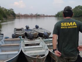 Apreensão de mais de uma tonelada de pescado ilegal Reprodução | Secom MT