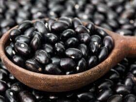 feijão no Mato Grosso