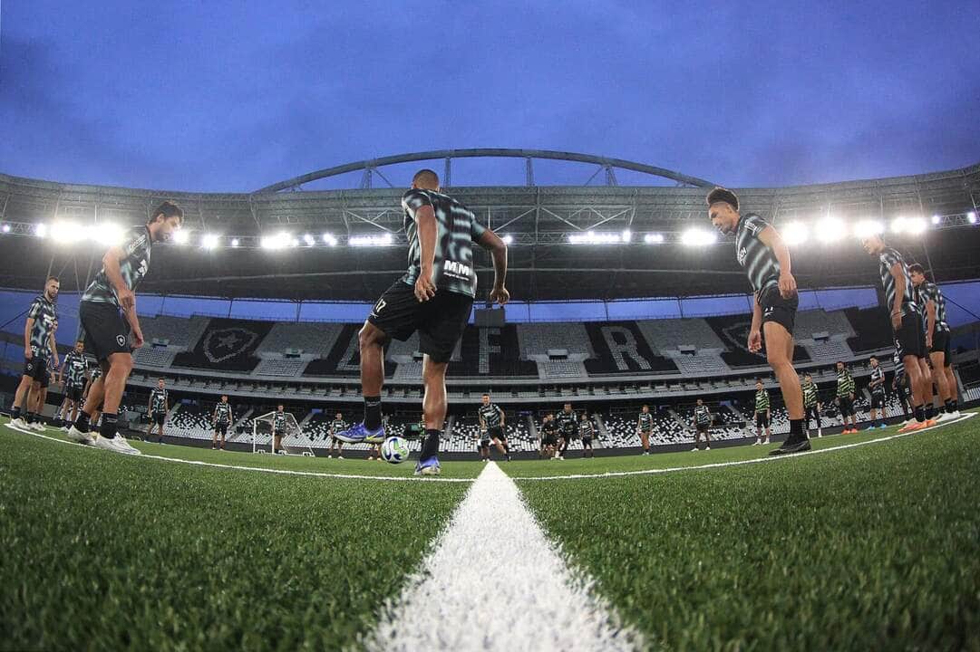 grama sintética - Botafogo - Estádio Nilton Santos - gramado - tapetinho Por: Vítor Silva/Botafogo/Direitos reservados