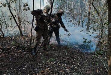 Após identificar origem de incêndios no Pantanal de MT e MS, Polícia Federal investiga possíveis culpados