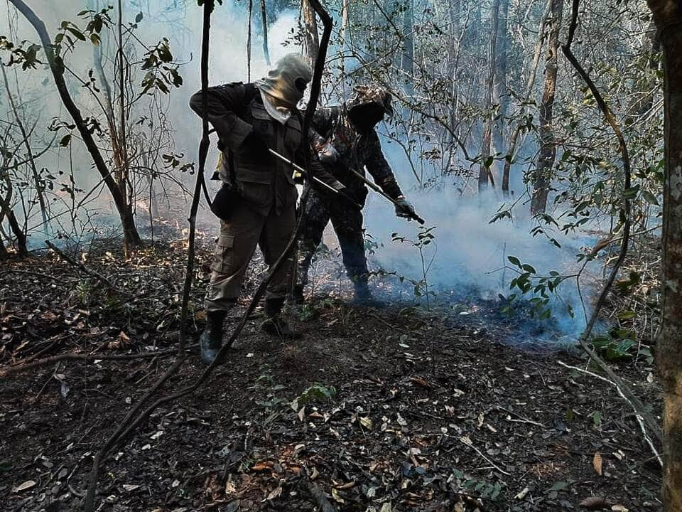 fogo no Pantanal