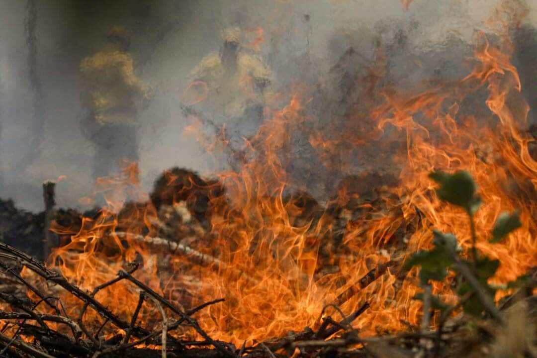 Incêndios crescem 1025% no primeiro semestre de 2024