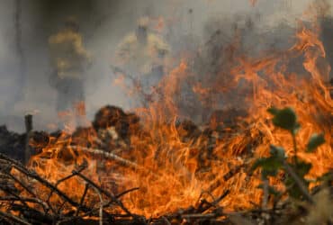 Poconé (MT) 17/11/2023 – Brigadistas do ICMBIO durante combate ao incêndio florestal que atinge o Parque Nacional do Pantanal Mato-Grossense Foto: Joédson Alves/Agência Brasil