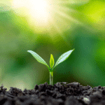 Mapa, Anvisa e Ibama publicam Portarias Conjuntas que estabelecem diretrizes para aprovações de registros e alterações de pós-registros de agrotóxicos