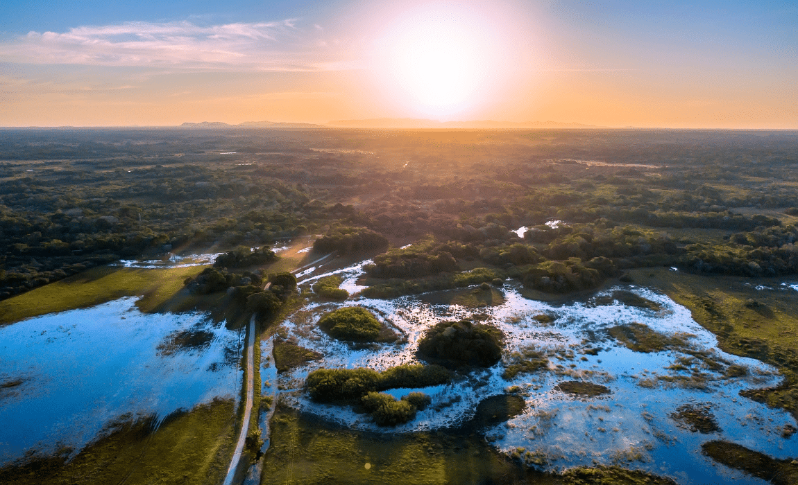 Agropecuária Brasileira: Tendências e Oportunidades 3 Mapa fortalece agropecuária pantaneira