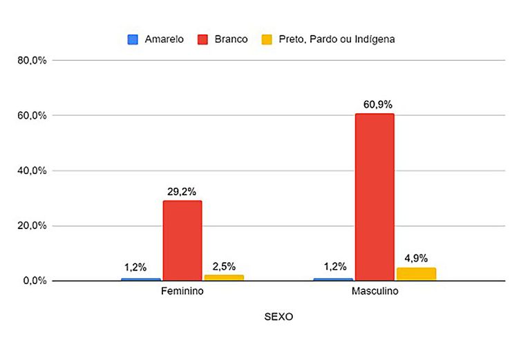 Negros e indígenas não passam de 7,4% dos professores em pós-graduação - Segmentação por gênero e cor. Arte: Instituto Serrapilheira