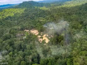02/10/2023, Área de garimpo dentro da Terra Indígena Trincheira Bacajá, município de Altamira, no Pará. Foto: PF/Ascom