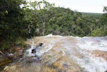 Mato Grosso: Jovem de 20 anos morre afogado em cachoeira