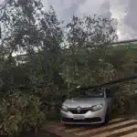 Chuva e forte ventania causam estragos em Cuiabá