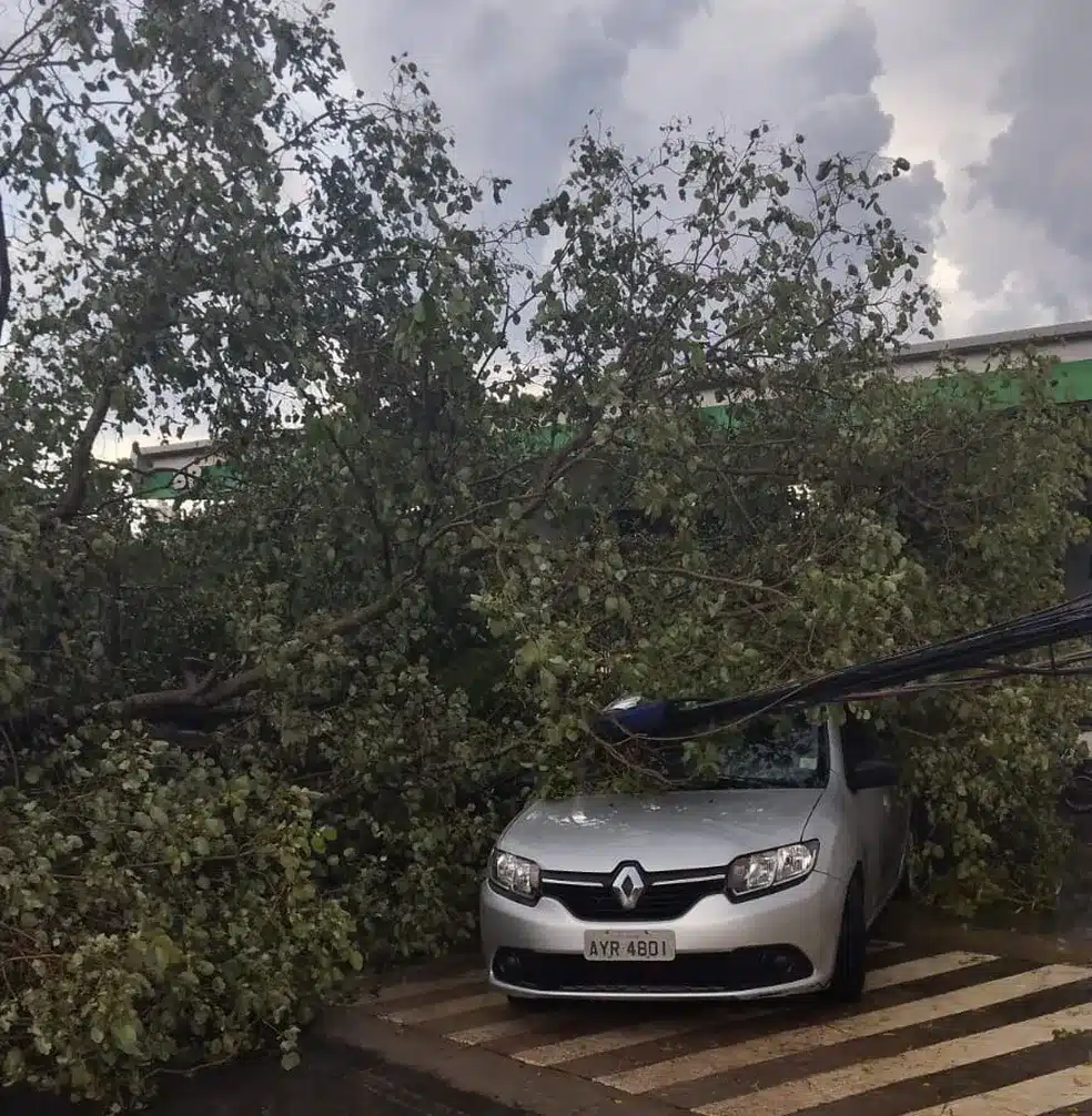 Chuva e forte ventania causam estragos em Cuiabá