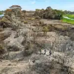 Mato Grosso enfrenta grave crise de incêndios florestais