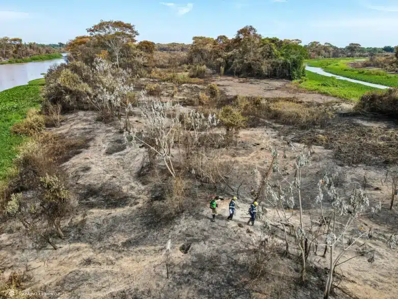 Mato Grosso enfrenta grave crise de incêndios florestais