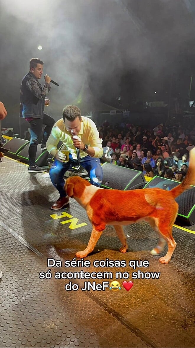 O palco estava agitado, a música rolando solta e, de repente, quem aparece? Um cachorrinho caramelo, todo charme e simpatia!