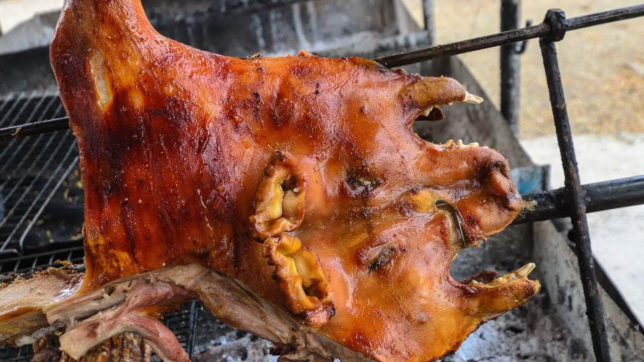 Leitão a pururuca perfeito para o Réveillon 2 Leitão a pururuca