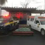 Motorista de carro funerário é preso transportando 30 kg de cocaína em Mato Grosso
