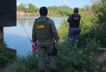 Operação ambiental em Mato Grosso resulta em prisões e apreensões na Piracema