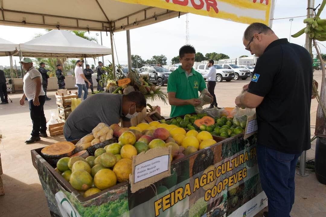 agricultura familiar recebe 18 picapes para transporte da producao interna 2 2023 12 15 1569930531