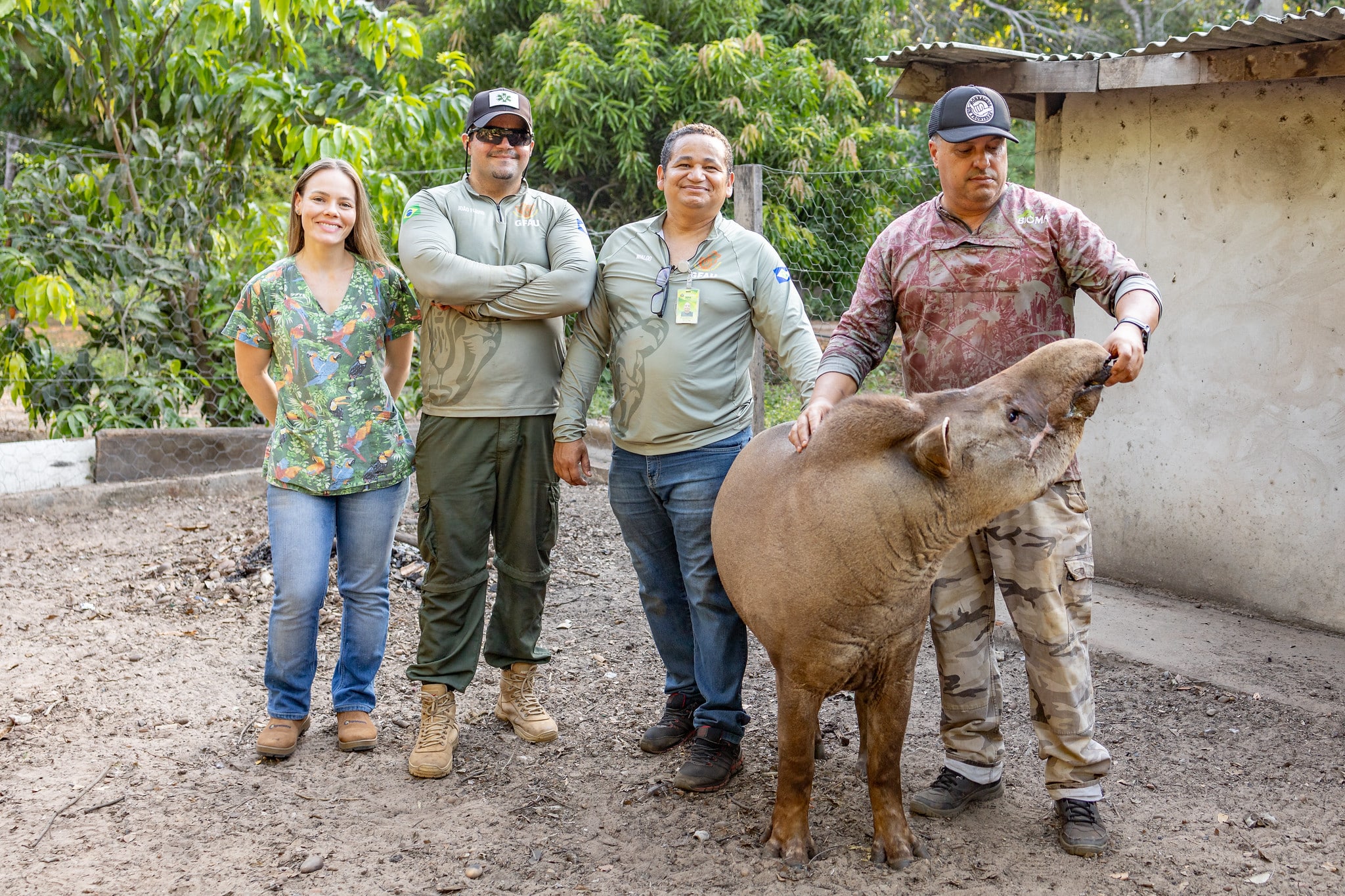 Antas resgatadas em MT passam a viver em reserva ecológica 13 antas resgatadas pela sema mt passam a viver em reserva ecologica apos tratamento complexo de saude interna 2 2023 12 29 1246865766