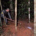 Corpo de Rayllan Vinicius, 15 anos é encontrado enterrado em região de mata em São José do Rio Claro/MT