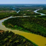 Mato Grosso e Mato Grosso do Sul se unem para combater desmatamento e queimadas no Pantanal