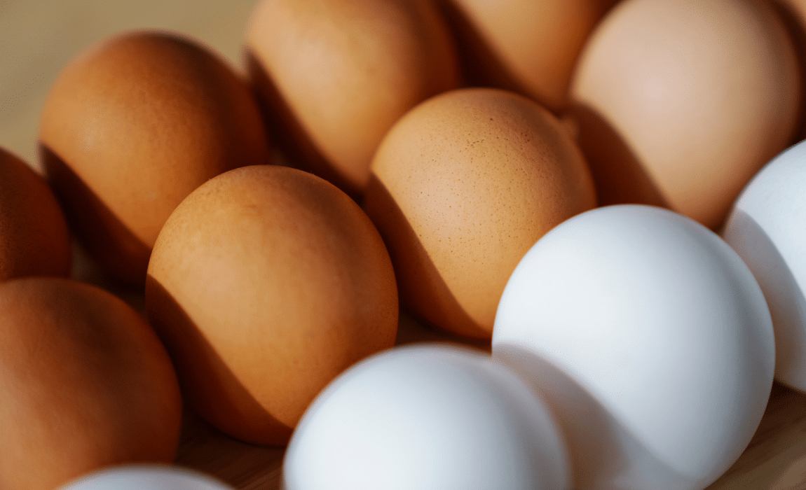 Brasil obtém acordo de “pre-listing” com Chile para exportação de ovos