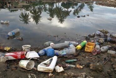 A poluição provocada pelos plásticos é uma tragédia ambiental global que contamina o solo e os mares Por: Photo: Martine Perret/ONU Meio Ambiente