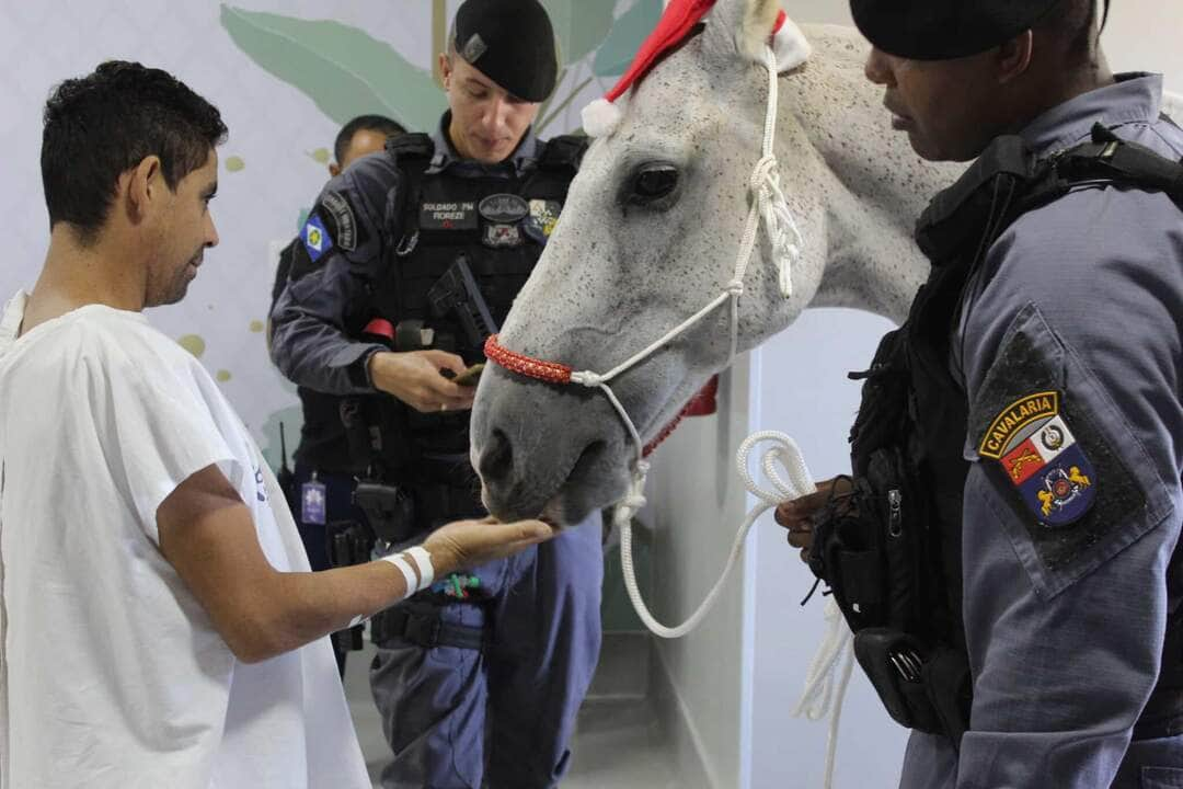 cavalaria da pm leva alegria e descontracao a pacientes do hospital de cancer de cuiaba interna 2 2023 12 13 303432820 scaled