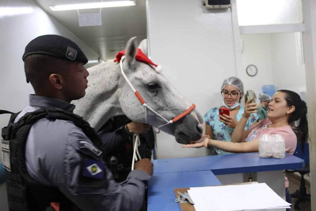 cavalaria da pm leva alegria e descontracao a pacientes do hospital de cancer de cuiaba interna 3 2023 12 13 1855593317