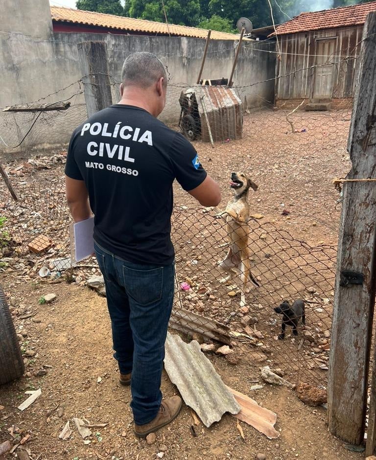 dema apura denuncias de maus tratos a animais em cuiaba e varzea grande interna 3 2023 12 22 147044243