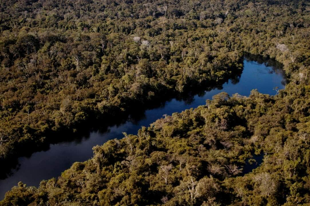 Promotoria denuncia dois indivíduos por crimes ambientais em sítio na zona rural de Cotriguaçu