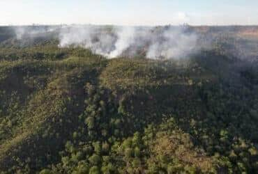 Chapada dos Guimarães. 29/12/2023 Incêndio atinge divisa entre santuário de elefantes e fazenda em Chapada dos Guimarães (MT) Foto Instagram/ Elefantes Brasil.