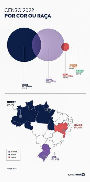 Brasília (DF) 21/12/2023 –Censo 2022 Por cor ou Raça. Arte Agência Brasil