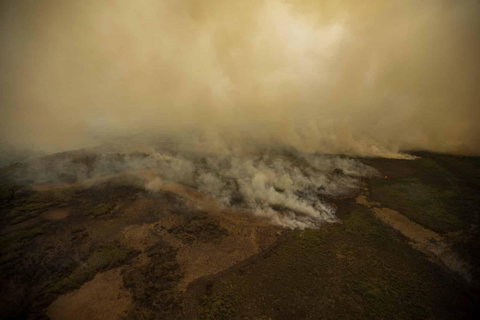 Porto Jofre (MT) 17/11/2023 – Cortina de fumaça profocada pelo incêndio florestal que atige o Pantanal. Foto: Joédson Alves/Agência Brasil