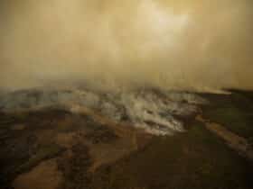 Porto Jofre (MT) 17/11/2023 – Cortina de fumaça profocada pelo incêndio florestal que atige o Pantanal. Foto: Joédson Alves/Agência Brasil