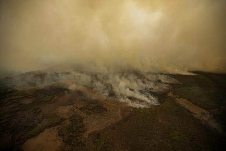 Porto Jofre (MT) 17/11/2023 – Cortina de fumaça profocada pelo incêndio florestal que atige o Pantanal. Foto: Joédson Alves/Agência Brasil