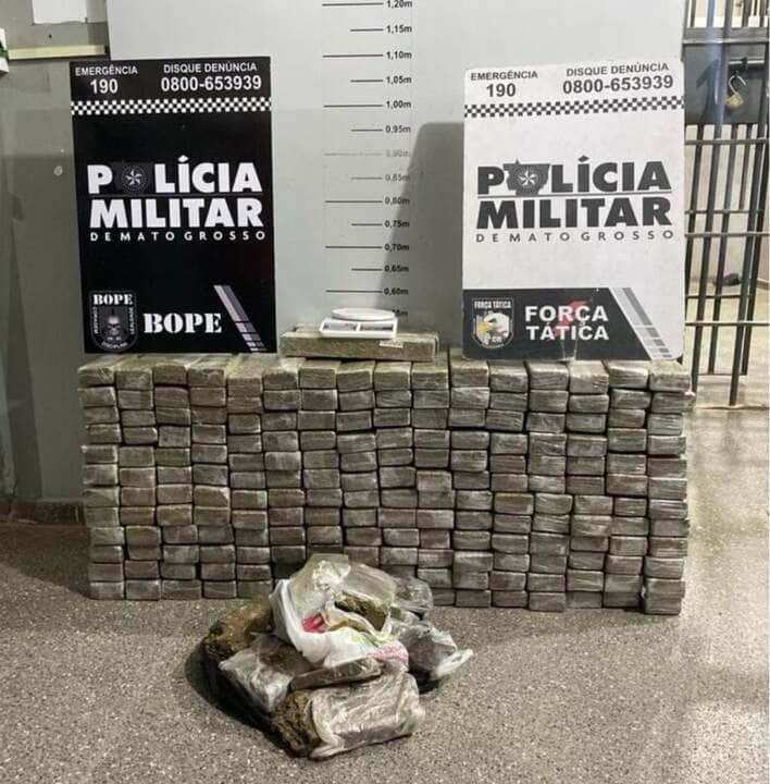 PMMT