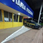 PRF apreende 200kg de cocaína escondida em caminhão em Campo Verde-MT