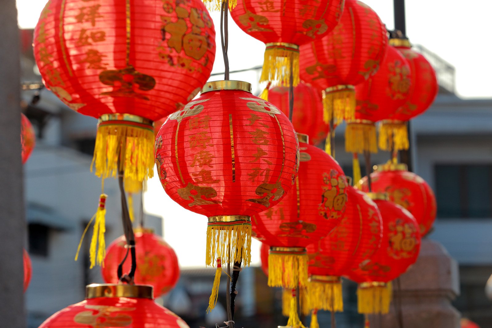 Agradáveis surpresas já estão à porta: horóscopo chinês de fevereiro de 2024 para cada signo do zodíaco oriental 4 Chinese dragon - Fotos do Canva