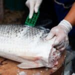 Indea intensifica fiscalização durante Semana Santa para garantir segurança alimentar no comércio de peixes