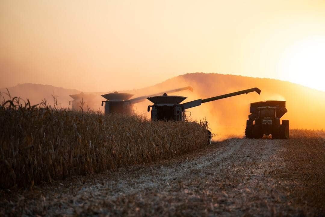 Mato Grosso em destaque! 2 Corn Harvest - Fotos do Canva