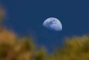 Mente em Movimento -  Desvendando a Influência da Lua em Gêmeos no Horóscopo Diário Foto Canva