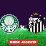 ONDE ASSISTIR PALMEIRAS X SANTOS