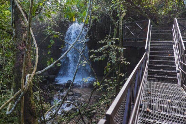 Salgadeira Cuiaba