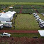 Fundação MT inicia dias de campo com novo formato e foco em soluções para cultivo e manejo da soja