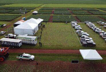 Fundação MT inicia dias de campo com novo formato e foco em soluções para cultivo e manejo da soja
