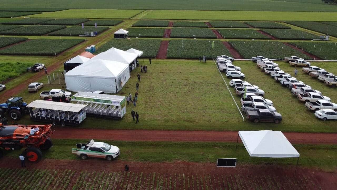 Fundação MT inicia dias de campo com novo formato e foco em soluções para cultivo e manejo da soja