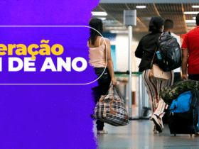 ANAC divulga balanço final da operação de Fim de Ano - Foto: Divulgação