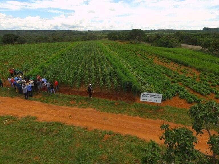 Estratégias agroecológicas garantem produção de alimentos saudáveis e resistência às adversidades climáticas -