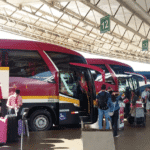 Férias em alta: veja dicas para viajar de carro e ônibus sem dores de cabeça - Foto: Divulgação/MTur